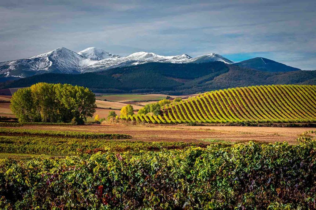 BASQUE COUNTRY 3