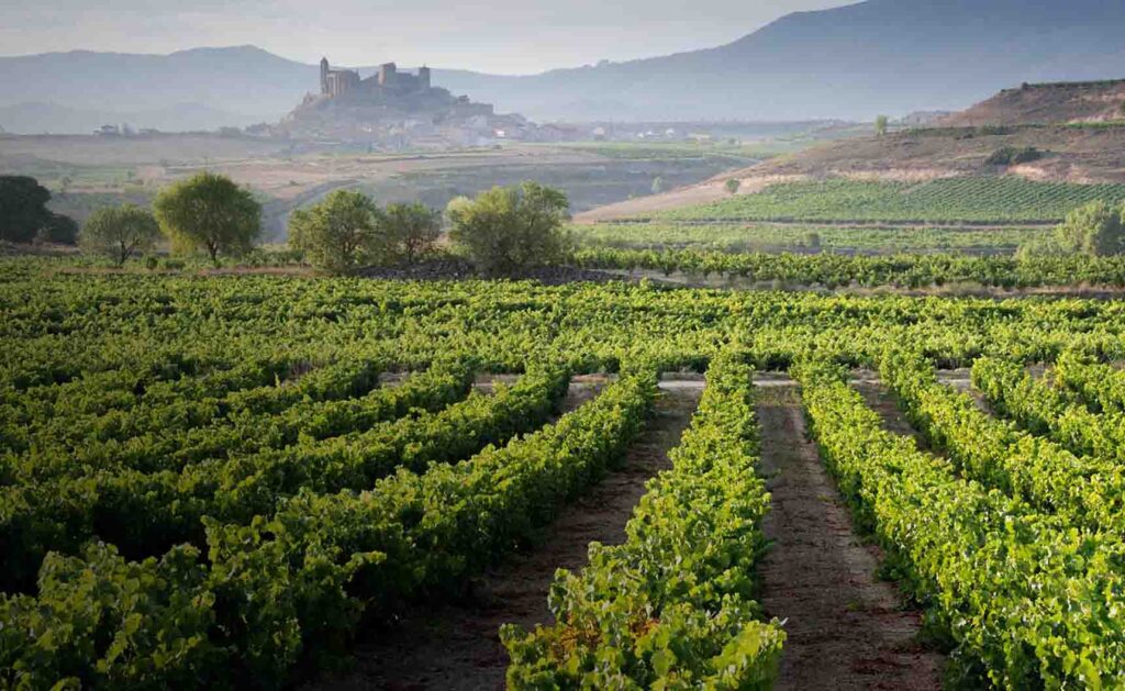 Culinary tourism La Rioja