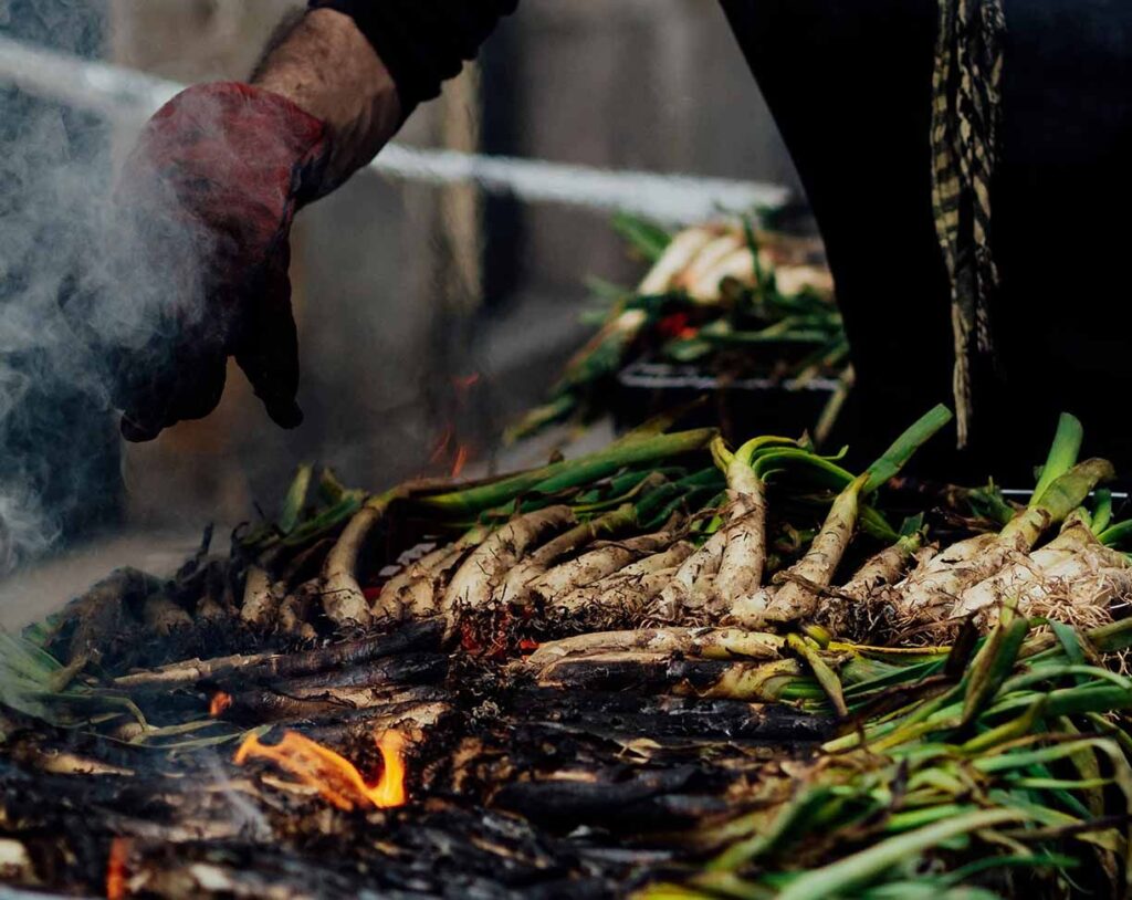Inland Catalonia wines calçots and mató