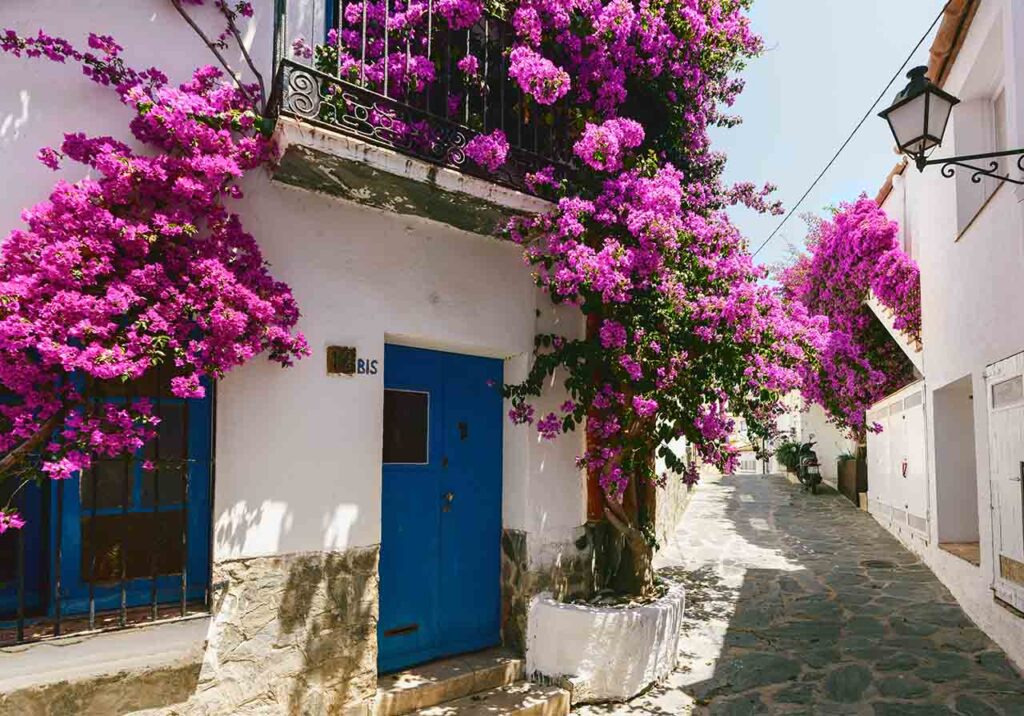 Through the Mediterranean