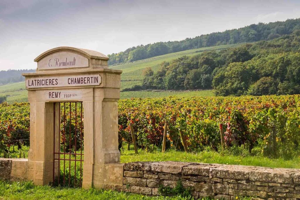 Chambertin vineyard, Gevrey-Chambertin, Burgundy, France
