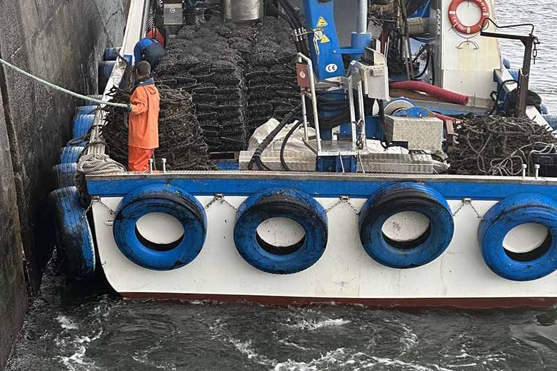 fisherman on a boat