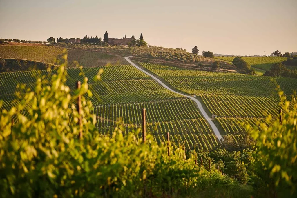 Culinary trips Basque Country & La Rioja Expedition Culinary trips