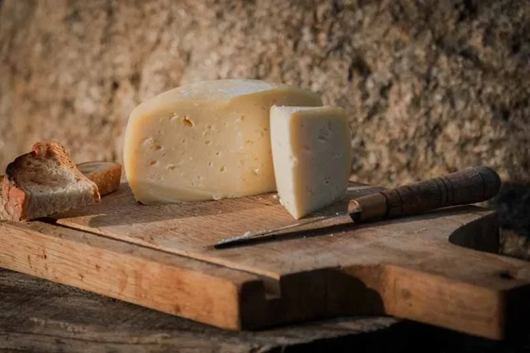cheese-tasting