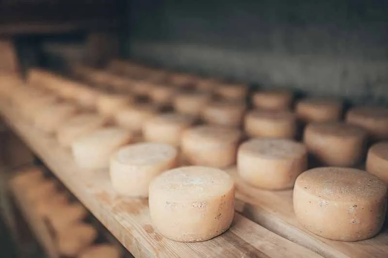 make your own cheese Barcelona