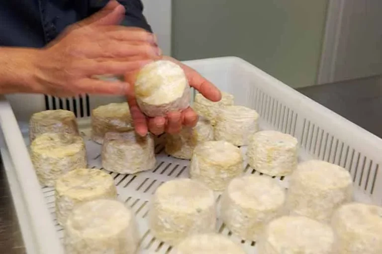 preparando-queso