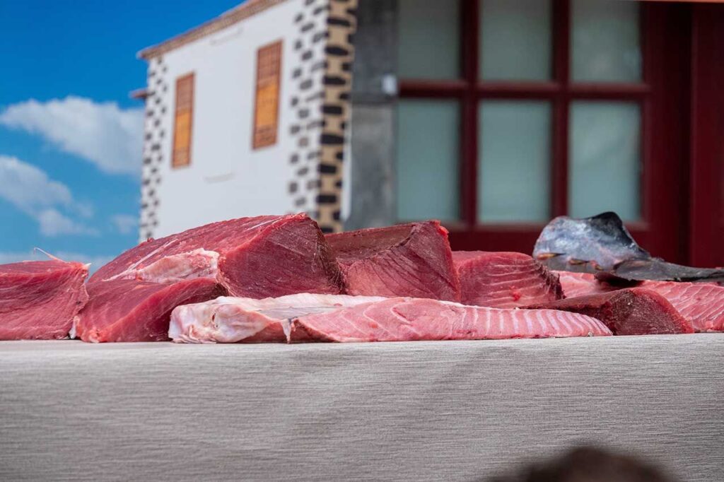 Itinerary Cadiz