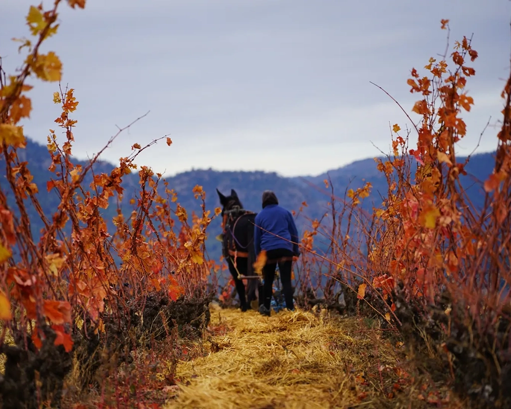 Priorat
