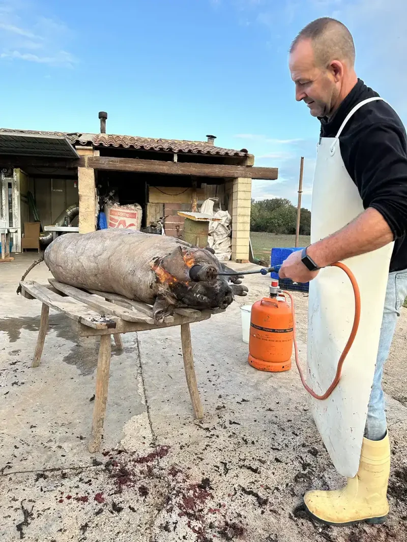 matanza_cerdo_piel-e1713788410734